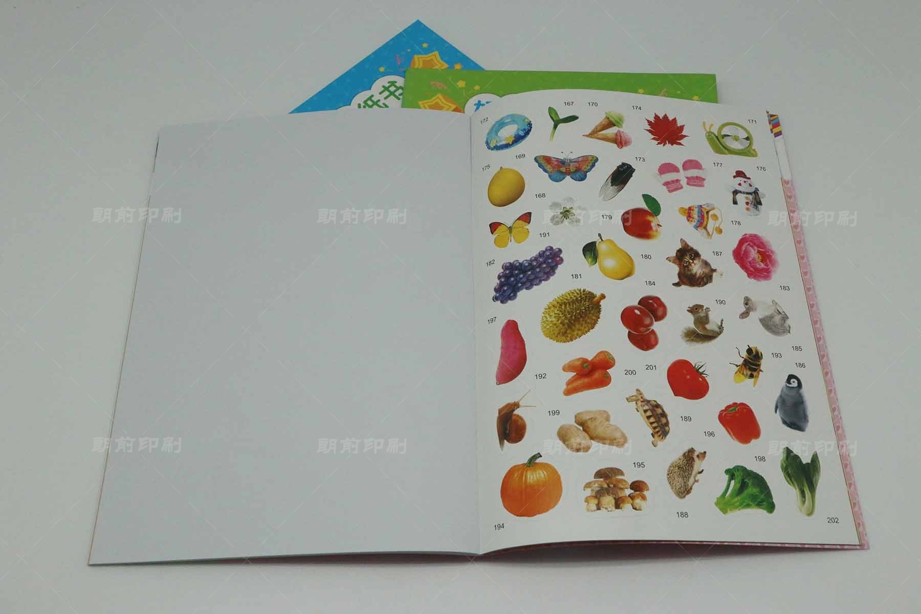 廣州公司畫冊印刷價格 廣州平面畫冊設計制作