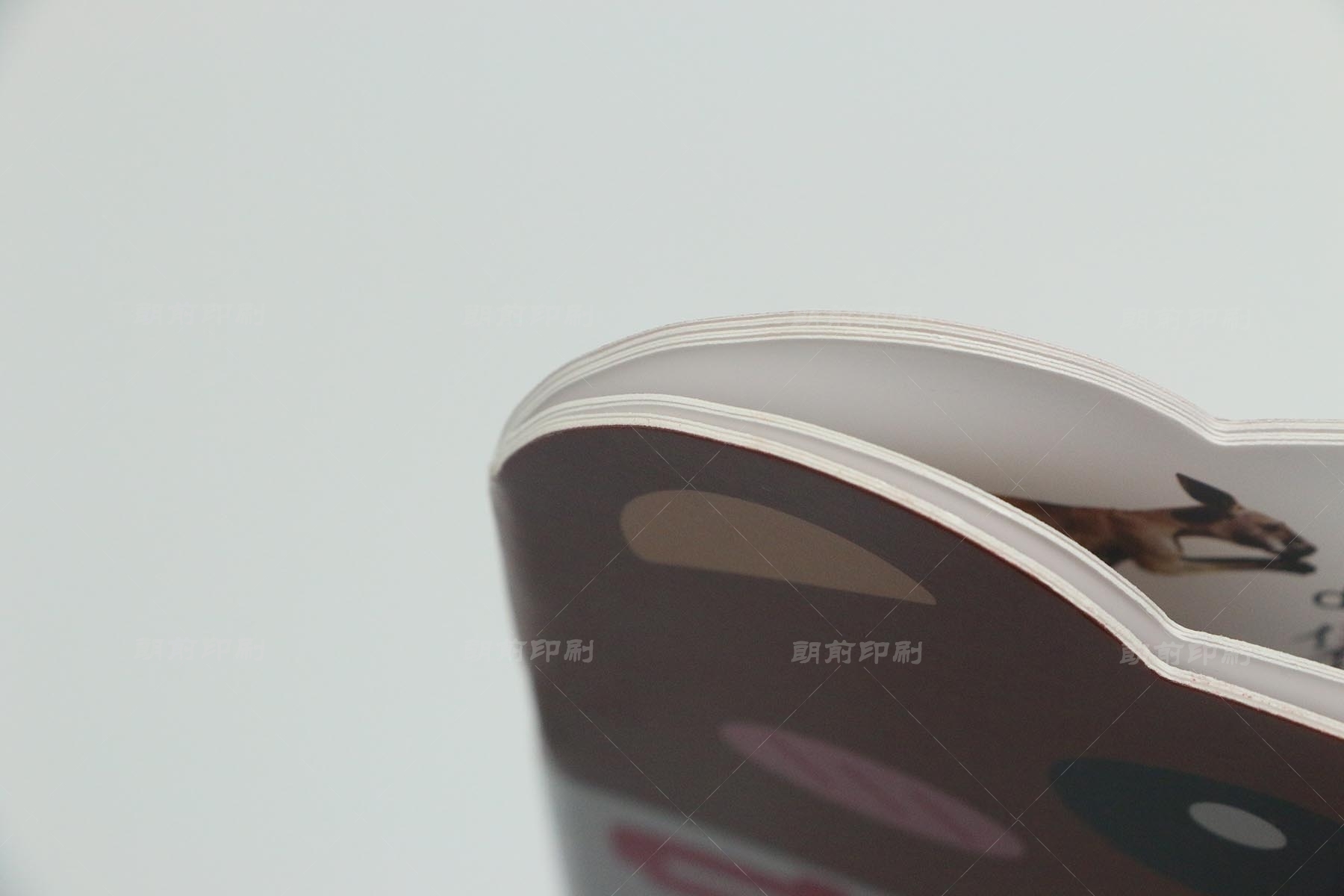 廣州畢業(yè)設(shè)計(jì)畫(huà)冊(cè)印刷價(jià)格 廣州公司畫(huà)冊(cè)印刷多少錢(qián)